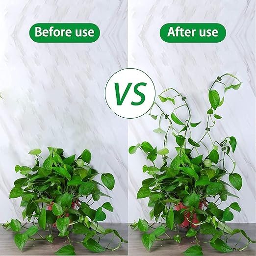 Homegur  Plant Wall Clip (Set Of 30)