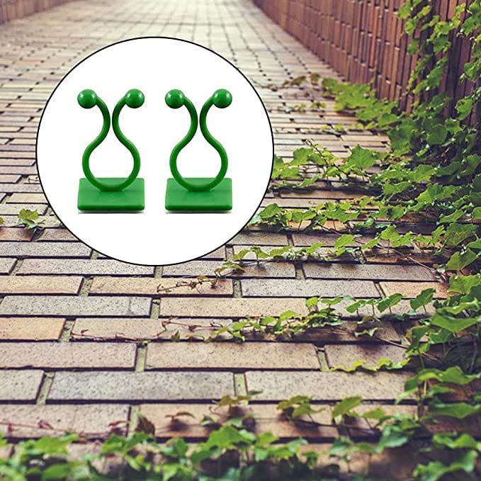 Homegur  Plant Wall Clip (Set Of 30)